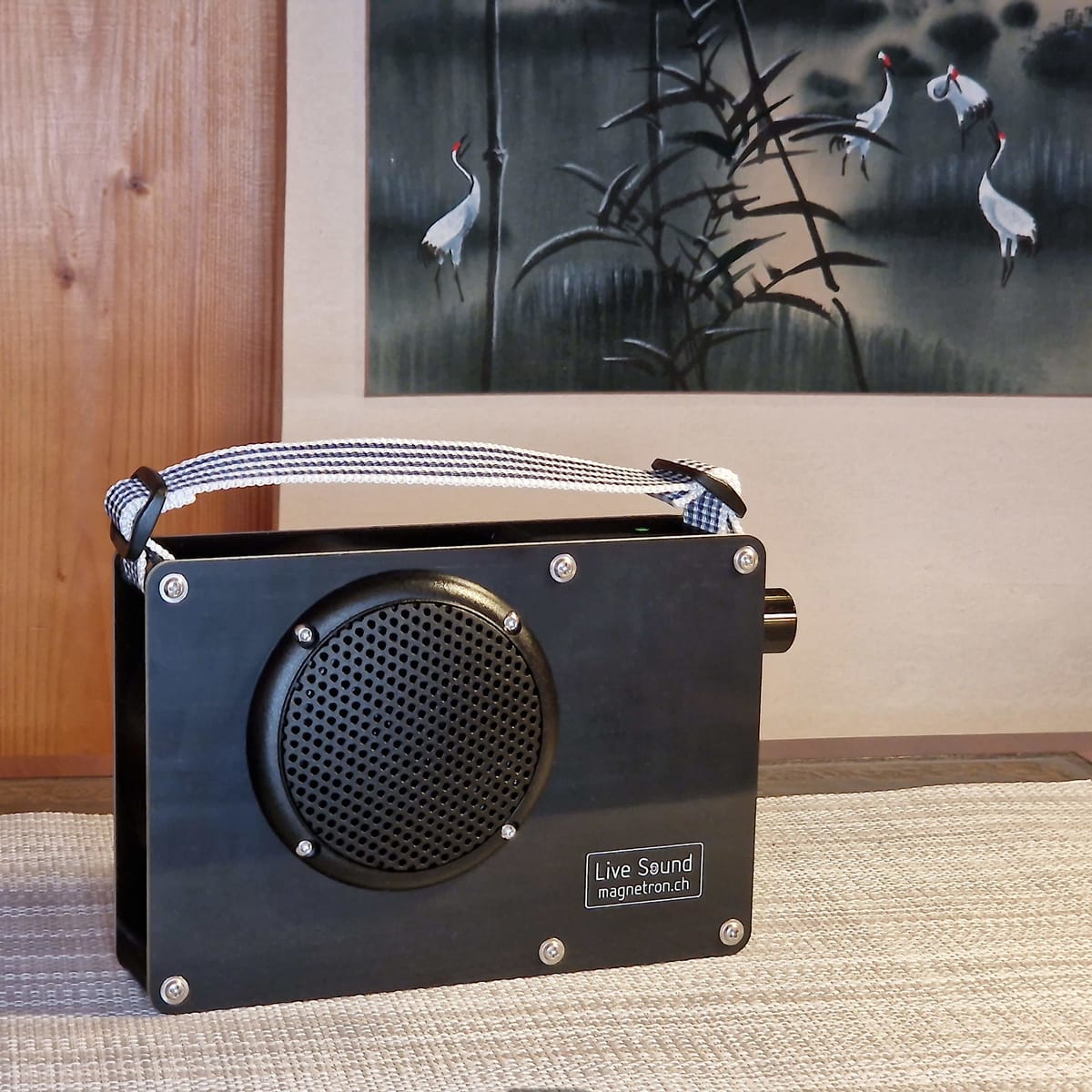 Bluetooth-Lautsprecher in Schwarz mit Tragegriff